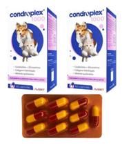 Combo 2 Unidades Condroplex 1000 Para Cães 60 Capsulas Avert