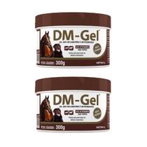 Combo 2 unidades DM Gel Anti-inflamatório para Cães e Cavalos Vetnil - 300 g