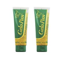 Combo 2 Unidades Gelopan Gel 100 g Cães Gatos pet Vetnil