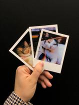 Combo 20 fotos polaroid
