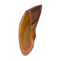 Combo 3 Cascos Bovinos Caes Puretoy Com 3 Peças Cada Combo 3 Cascos Bovinos Caes Puretoy Com 3 Peças Cada