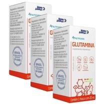 Combo 3 unidades Nutrisana Glutamina Suplemento Cães e Gatos 20mL - Mundo Animal