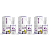 Combo 3 unidades Trauma Sistema de Terapia Real H Homeo Pet - 30 mL Combo 3 unidades Trauma Sistema de Terapia Real H Homeo Pet - 30 mL