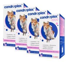 Combo 4 Unidades Condroplex 1000 Para Cães 60 Capsulas Avert