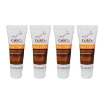 Combo 4 unidades Suplemento Mundo Animal Cat & Co. Malt Paste para Gatos - 70 g Combo 4 unidades Suplemento Mundo Animal Cat & Co. Malt Paste para Gatos - 70 g