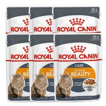 Combo 6 Sachês Ração Úmida Royal Canin Care Intense Beauty Gatos Adultos 85g