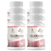 Combo 6 Valeriana Pura 500Mg 60 Cap - Legítimo Calmante