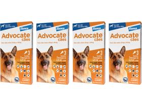 Combo Advocate Cão 4ml 25 a 40kg - 3 Pipetas - 4 Unidades