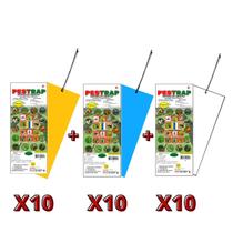 Combo Armadilhas Adesivas Pestrap 10 Un De Cada Cor 25x10 Combo Armadilhas Adesivas Pestrap 10 Un De Cada Cor 25x10