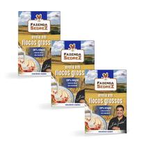 Combo Aveia Flocos Grossos 165g Fazenda Sedrez - 3 unid