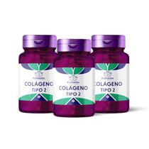 Combo Colageno Tipo II 30 Doses Floracea - Compre 2 Leve 3
