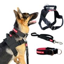 Combo Coleira Peitoral + Guia + Coleira para Cachorro - Cores Variadas