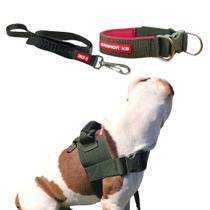 Combo Coleira Peitoral Guia Coleira para Cachorro Cores Variadas