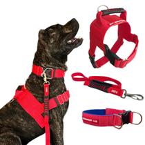 Combo Coleira Peitoral + Guia + Coleira para Cachorro - Tamanho Extra Grande
