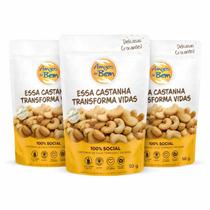 Combo Com 3 Castanhas De Caju Torrada E Salgada 50g