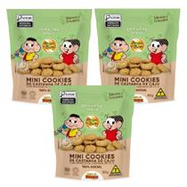 Combo com 3 unidades Cookies de Castanha de Caju 30g Turma da Mônica
