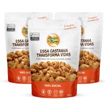 Combo com 3 unidades de Castanha de Caju Caramelizadas 100g Amigos do Bem
