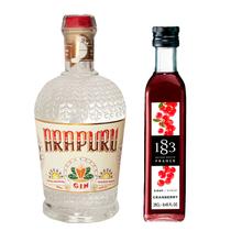 Combo Gin Arapuru 700ml + Xarope de Cranberry 1883 250ml
