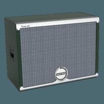 Combo Guitarra Vosstorm Swamp 212A Combo Guitarra Vosstorm Swamp 212A