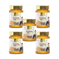 Combo Mel Flores do Campo Vidro 450g Fazenda Sedrez - 5 unid Combo Mel Flores do Campo Vidro 450g Fazenda Sedrez - 5 unid