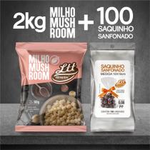 Combo milho mushroom 2 kilo