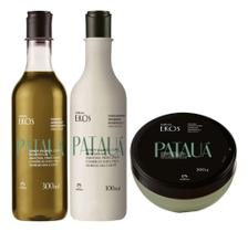 Combo natura ekos shampoo+condicionador+mascara antiqueda patauá