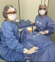 Combo Paramentação Cirurgia Odontologica tecido = 1 Campo Paciente 2 Capotes Cirúrgico ( Aventais ). - Vestmedic e-commerce Semeab