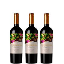 Combo Vinhos Chilenos Primavera Reserva Carmenere - 3 garrafas