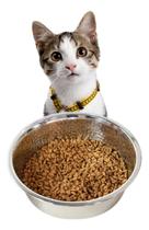 Comedor Pequeno 450ml Para Gatos Sache Ração Pets Em Inox