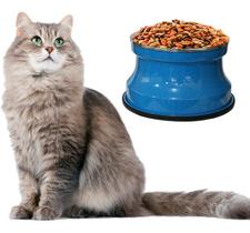 Comedouro Alto Para Gatos Em Alumínio Gastrobel Azul Pigmentado PetGang Comedouro Alto Para Gatos Em Alumínio Gastrobel Azul Pigmentado PetGang