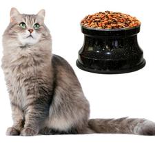 Comedouro Alto Para Gatos Em Alumínio Gastrobel Preto Pigmentado PetGang Comedouro Alto Para Gatos Em Alumínio Gastrobel Preto Pigmentado PetGang