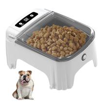 Comedouro Automatico Cao Pet Gato Cachorro Raçao Petisco Sensor de Presença Movimento Animal de Estimaçao Temporizador Programavel Alimentaçao Seguro Comedouro Automatico Cao Pet Gato Cachorro Raçao Petisco Sensor de Presença Movimento Animal de Estimaçao Temporizador Programavel Alimentaçao Seguro