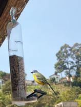 Comedouro De Vidro Com Poleiro Para Pássaro Ar livre Jardim - Dal acessórios de vidro