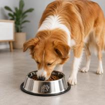 Comedouro E Bebedouro Antiderrapante Pet Inox Vasilha Pote Para Ração E Água Cachorro E Gato Higiênico E Durável Comedouro E Bebedouro Antiderrapante Pet Inox Vasilha Pote Para Ração E Água Cachorro E Gato Higiênico E Durável