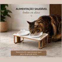 Comedouro Elevado Inclinado para Gatos Grandes Maine Coon com Porcelana 14cm Bastet Design for Cats