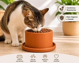 Comedouro Elevado para Gatos em Cerâmica Natural com Base Antiformiga Comedouro Elevado para Gatos em Cerâmica Natural com Base Antiformiga