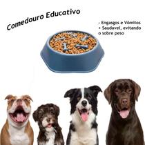 Comedouro Lento Educador Interativo Para Cães Comilão 600ml - 2D