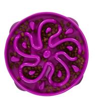 Comedouro Lento Fun Feeder Outward Hound Roxo