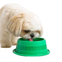 Comedouro Para Gatos e Cachorros 1000ml Anti Formiga Grande - Verde Comedouro Para Gatos e Cachorros 1000ml Anti Formiga Grande - Verde