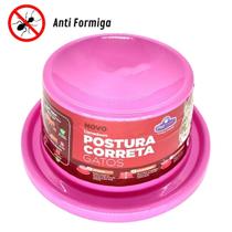 Comedouro para Gatos Postura Correta Anti Formiga - Pet Injet