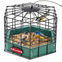 Comedouro para Pássaros Kingsyard 25 cm com Gaiola Metálica à Prova de Esquilos Comedouro para Pássaros Kingsyard 25 cm com Gaiola Metálica à Prova de Esquilos