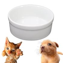 Comedouro Pet 330ml Porcelana Cães E Gatos Bebedouro Branco - Armazém do E-commerce