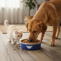 Comedouro Pet Inox Premium Antiderrapante 1,2L Inox Dine Bebedouro Gato Comedouro Cachorro Grande - Comedouro Pet Inox Premium Antiderrapante 1,2L Inox Dine Bebedouro Gato Comedouro Cachorro Grande -