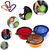 Comedouro Prato Pratinho Pet Para Ração Retrátil Verde