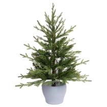 Comemorações de Porch Bush Fraser Fir 91 cm Full 50 LED Comemorações de Porch Bush Fraser Fir 91 cm Full 50 LED