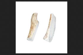 Comida para animais de estimação BUCKEYBITES Rawhide Antler Sticks de 10 cm, pacote com 2