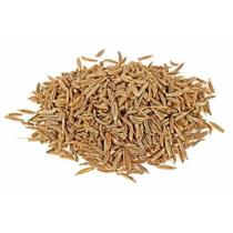 Cominho Semente - PREMIUM - 50 GR. -