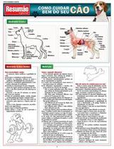 Como cuidar bem do seu cão - Resumão