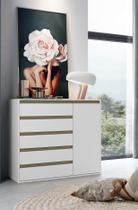 Cômoda 5 Gavetas 1 Porta Multiuso MDF Select Belmax