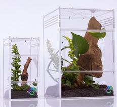 Compartimento para aranhas EctoTherm Acrylic Jumping Spider Habitat